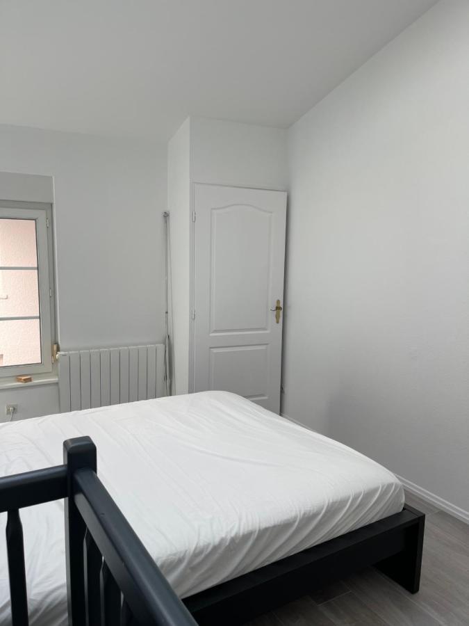 Nancy Hypercentre 34 Rue Des Dominicains ! Apartment Exterior photo